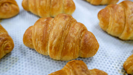 A milk ball dessert top cocoa powderの写真素材