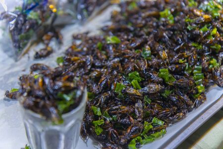 Fried insects on the streets of Chiangmai Road in Thailand  High resolution image gallery.の写真素材