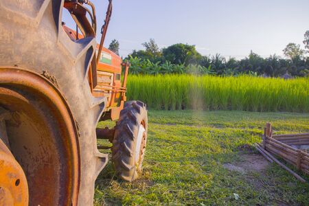 A old orange  tractor sits under a tree on the edge of a farm field.  High resolution image gallery.の写真素材