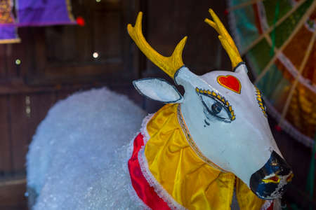 Tho, Legendary animal of northern Thailand.の写真素材