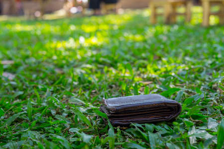 Lost leather wallet with money drop on the grass gardenの写真素材