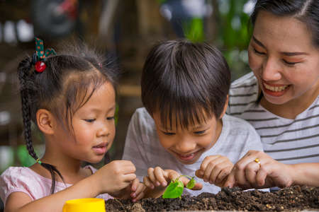 Asian mother and her kids gardening together. Spring and hobbies, family grows flowers together. Hobby home for whole family, entertainment with children, development abd education.の写真素材