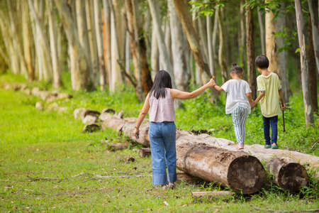Mother hold her kids hand walking on timber wood logs in nature.の写真素材
