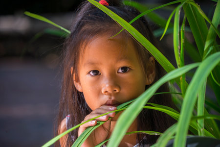 The face of asian little girl surrounded by tropical leaves. Closeup portrait of a beautiful swarthy baby with tan skin and dark hair.の写真素材