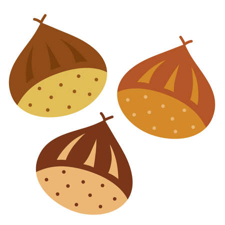 Three pretty chestnuts of autumnのイラスト素材