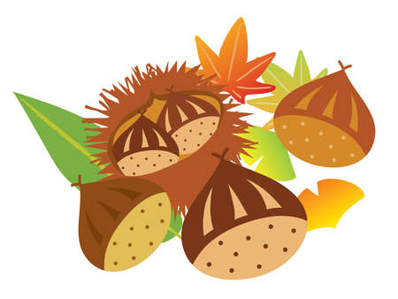 Chestnuts and colored leaves of the autumnのイラスト素材
