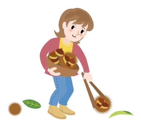 A woman gathering chestnuts in the autumnのイラスト素材