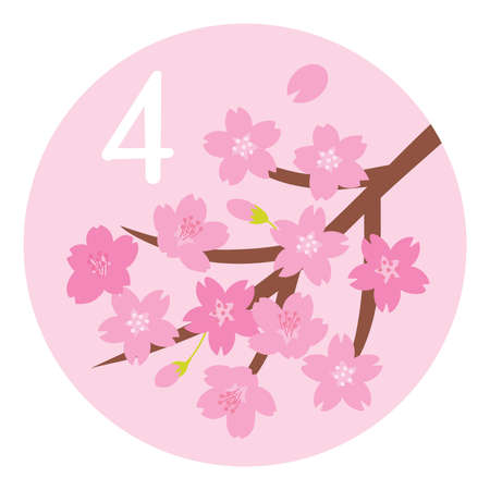 Season illustration icon of cherry blossom on April for a calender.のイラスト素材