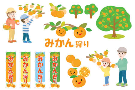 Set of illustration and a Japanese letter for the mandarin orange picking. Translation: "Mandarin orange picking"のイラスト素材