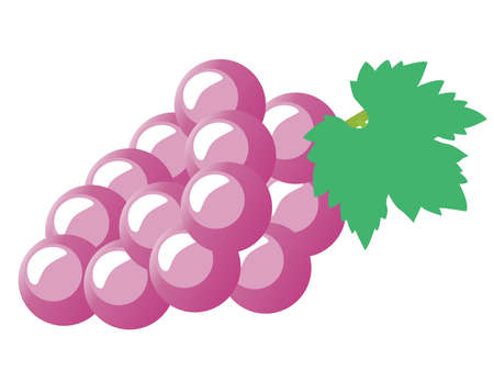 Illustration of purple grapeのイラスト素材