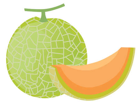 Illustration of the muskmelon with net patternのイラスト素材