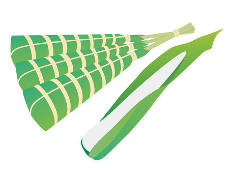 Illustration of the Rice dumplings called chimaki of Children's Dayのイラスト素材