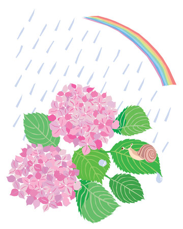 Rainy illustration of hydrangea , snail and rainbow of Juneのイラスト素材