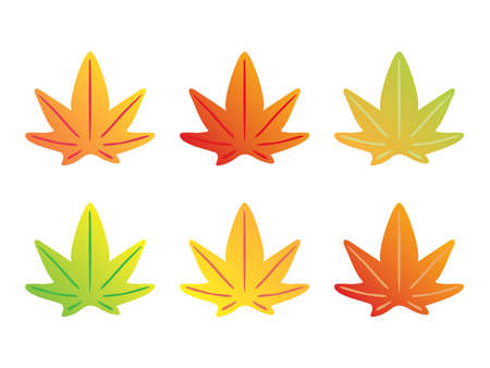 Fallen leaves of maple in the autumnのイラスト素材