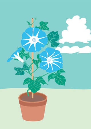 Illustration of the potted blue morning gloryのイラスト素材