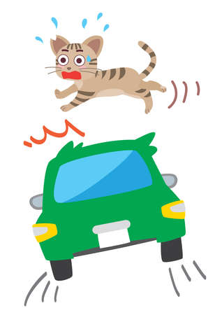 The illustration which promotes local cats and speed attention.のイラスト素材