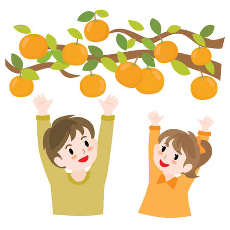 Children doing mandarin orange pickingのイラスト素材