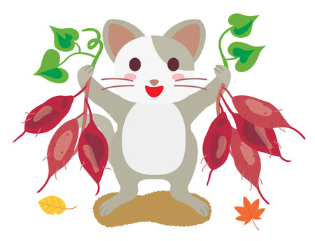 A cat which is pleased with the harvest of sweet potatoesのイラスト素材