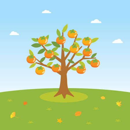 Scenery of the persimmon tree.のイラスト素材