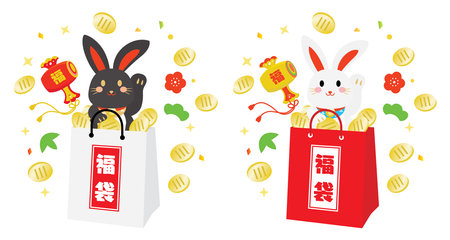 Lucky bag of New Year holidays of the year of the Rabbit and Japanese letter. Translation : "Lucky bag" "Fortune"のイラスト素材
