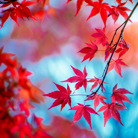 Red maple leaves in autumn season with blue sky background, selective focus. AI-Generated Imagesの素材