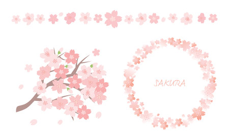 Cherry blossom wreath and frame set. Cherry blossom vector illustration.のイラスト素材