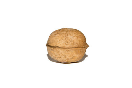 Close-up of walnut. On white background. Isolated.の写真素材