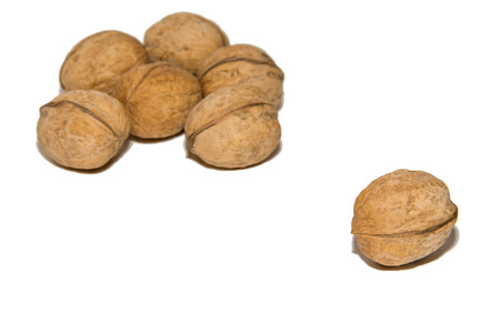 Close-up of walnut. On white background. Isolated.の写真素材