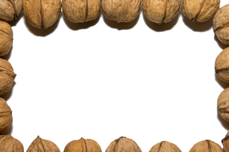 Close-up of walnut. The frame is made of walnut. On white background. Isolated.の写真素材