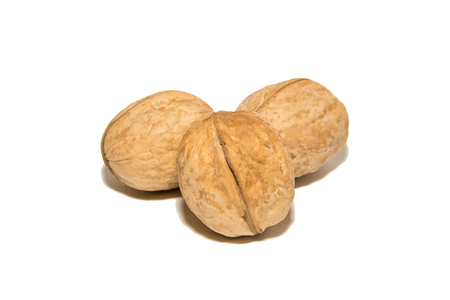 Close-up of walnut. On white background. Isolated.の写真素材