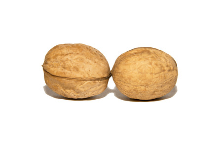 Close-up of walnut. On white background. Isolated.の写真素材