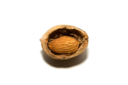 Close-up of walnut shell and almonds. On white background. Isolated.の写真素材