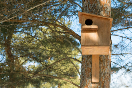 Bird feeder hanging on a tree in a coniferous forest in the Park. Bird house in the tree. Care of fauna.の写真素材