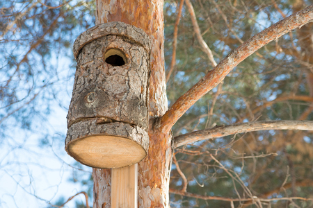 Bird feeder hanging on a tree in a coniferous forest in the Park. Bird house in the tree. Care of fauna.の写真素材