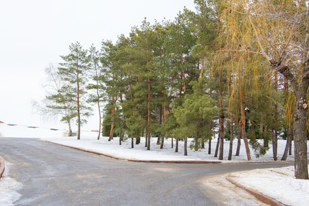 Morning walk in the Winter Park. Outdoor recreation. Crossroads in the Park.の写真素材