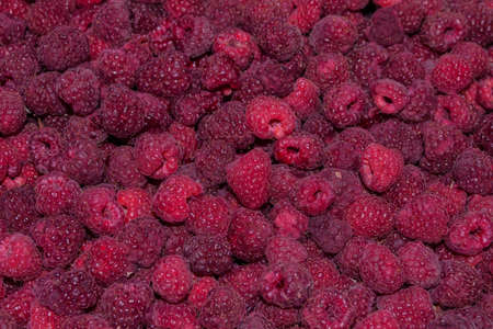 Background-texture of ripe raspberry Rubus idaeus, close-up. Soft selective focus.の写真素材