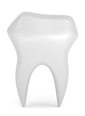Model of tooth isolated on whiteの写真素材