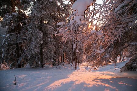 Sunrise.Fantastic sunrise, morning winter landscape. Fantastic overcast sky. Beautiful winter landscape. Beauty world. European beautiful winter mountains.の写真素材