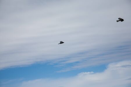 Panoramic view of ski resort three valleys and big lift in french alps - Vacation and travel concept - Winter high season opening with people having fun on mountain - Focus on sport equipmentの写真素材
