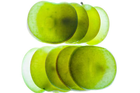 Slices of apple at the backlight isolated on a white background, macro photoの写真素材
