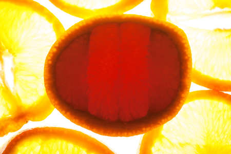 Close up group of orange slices with backlite. macro photoの写真素材