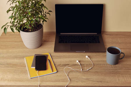 Horizontal photo angle view to workspace desk. Laptop with blank screen, potted plant, mug, yellow...