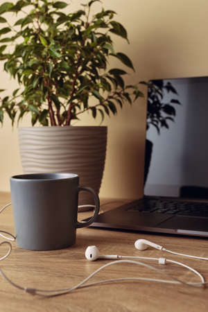 Vertical photo side and angle view to workspace desk. Part of laptop with blank screen, potted plant, mug and white cable headphonesの写真素材