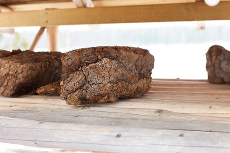 Chunk of peat piled up for drying on wooden shelf. Peat production.