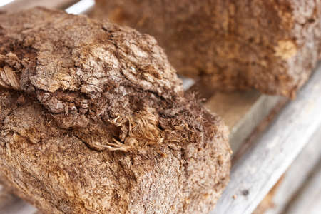 Close up Chunk of peat piled up for drying on wooden shelf. Blurred background. Peat production.