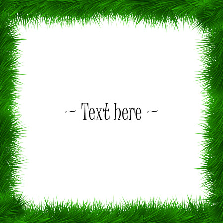 Frame of grass on white background.  Vector illustrationのイラスト素材