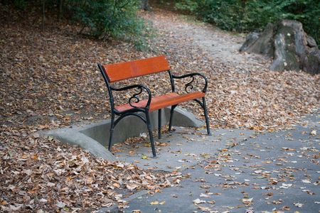 Photo of a lonely bench in the parkの写真素材