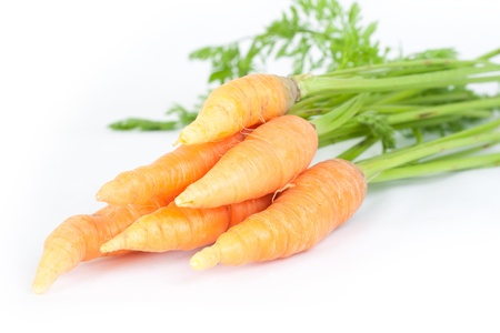 Carrots on white backgroundの写真素材
