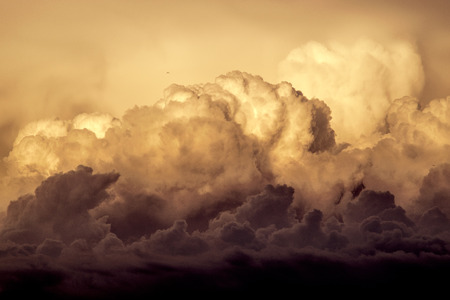 Majestic clouds and birds