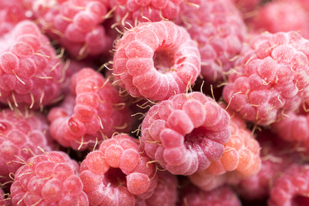 raspberry compositionの写真素材